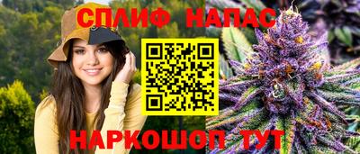 индика Заволжье