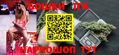 индика Заволжье