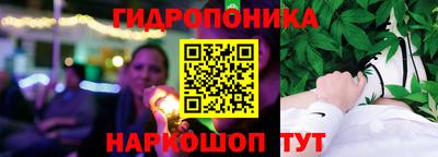 индика Заволжье