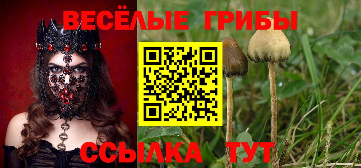 Псилоцибиновые грибы Magic Shrooms  Псилоцибиновые грибы Psilocybe  Вход с VPN  Кимовск 
